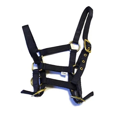 Image of Rhinegold Nylon Foal Headcollar Navy