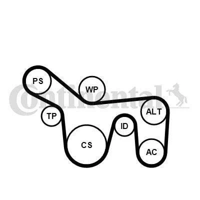 Image of 2110243, ME1S4Q6D361AA V ribbed belt set CONTITECH 6PK1715K1 FORD: Focus Mk1 Hatchback, Transit Connect Van