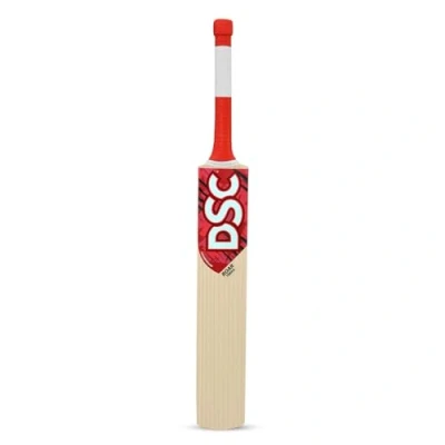 Image of DSC Roar Terra Cricket Bat For Mens and Boys (Beige, Size 1) Material: Kashmir Willow Lightweight Free Cover Ready to play Intermediate Player Ideal Leather Ball