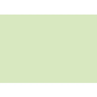 Image of Baier &amp; Schneider Index Card, A7 Landscape Cardboard 180 g/m² Green