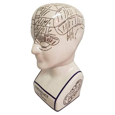 Image of 8&quot; Ceramic Phrenology Head