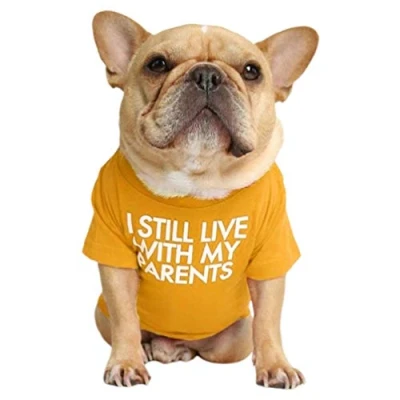 Image of Junhouse Bulldog Clothes Pet Clothing Puppy T shirt Spring Summer Soft Comfy Breathable Quick Dry Dog Outfit Pullover For Small Medium Large Dogs (L,Orange)