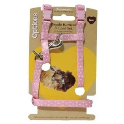 Image of Polka Dot Harness &amp; Lead For Rabbits Large