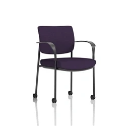 Image of Brunswick Deluxe Black Frame Back Seat Purple With Arms/Castors