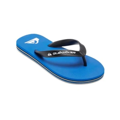 Image of Quiksilver Molokai Core Flip Flops for Boys