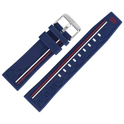 Image of Tommy Hilfiger 679302205 Watch Strap, 22 mm, Plastic, Blue