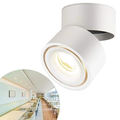 Image of CPROSP 10W Ceiling Spotlight Indoor Rotatable, COB LED Chip, 10 * CM, Natural White 4000 K, White, Lamp for Kitchen, Living Room