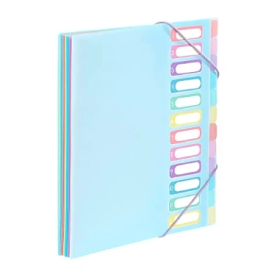 Image of Viquel A4 Document Folder with 12 compartments Expandable Desk Organiser Holder Index Elastic Closure Rainbow Pastel Blue
