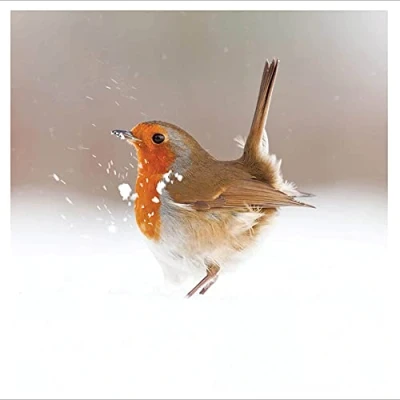 Image of Cute Robin in The Snow Christmas Card Xmas Friend Photographic Greeting