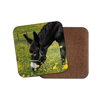 Image of 1 x Beautiful Donkey Cork Backed Drinks Coaster Horse Kids Cute Animal #8259