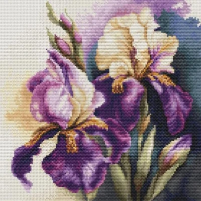 Image of Luca S Cross Stitch Kit S, Iris “Burgermeister, Counted for Adults, Embroidery Kit, B7023
