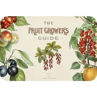 Image of Fruit Growers Glass Worktop Saver/Protector Kitchen Cutting Board by Pearl (60 x 40cm)