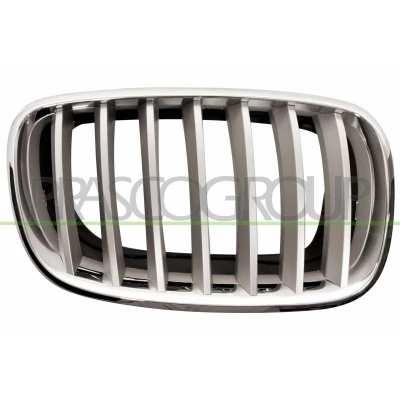 Image of 51137185224, 51137307600 Radiator Grill PRASCO BM8222013 Right Titanium, chrome BMW: X5