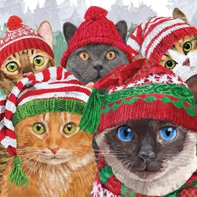 Image of 20 Napkins Winter Cat World in Clothing as Table Decoration Paper with Motif Also for Decoupage and 33 x cm