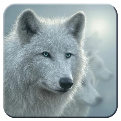 Image of 3D LiveLife Cork Coaster White Out from Deluxebase. Lenticular Wolf Coaster. Non slip drinks mat with original artwork licensed renowned artist, Collin Bogle