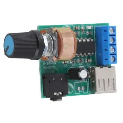 Image of 5v Low Voltage AC/DC USB Power Amplifier Board Assembled Stereo Module PM2038