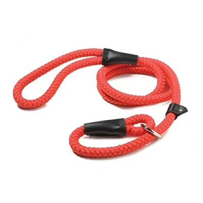Image of Walk &#039;r&#039; Cise Nylon Rope Slip Lead, Red