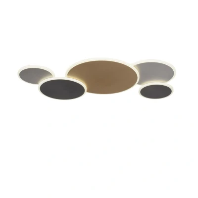Image of Q Smart Home Paul Neuhaus Piato LED ceiling light 5 bulb