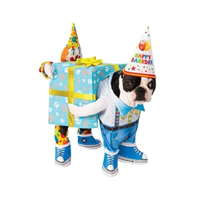 Image of Rubies 200549M000 Official Birthday Present Pet Costume, Dog Fancy Dress, Size Medium, M Halloween