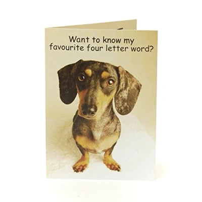 Image of UK Greetings Funny Birthday Card for Him Dog Her Friend Humorous Adult 788327 0 1