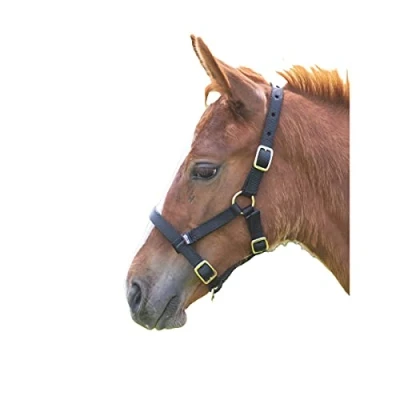 Image of Shires Foal Nylon Headcollar Black
