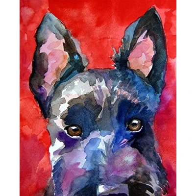 Image of Paint by Numbers Kits with Brushes and Acrylic Pigment DIY Canvas Painting for Kids Adults Beginner, Oil 16 x 20 inch Scottish Terrier Scottie Dog frame