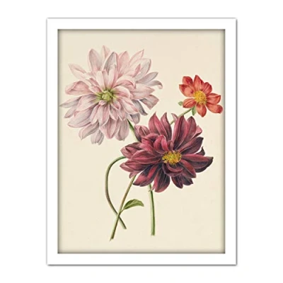 Image of Artery8 Willem Hekking Dahlias Flowers Pink And Purple Artwork Framed Wall Art Print 18X24 Inch