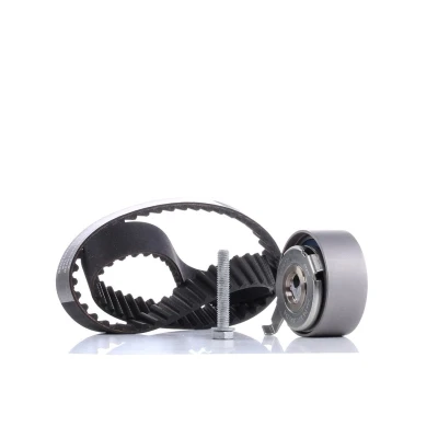 Image of 057109243M, 059109119D, 059109119L, 059109243N, 059109243P Timing belt kit INA 530 0481 10 83 AUDI: A4 B6/B7 Convertible, A5 B8 Coupe, Q7