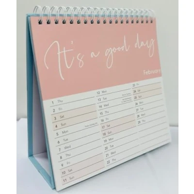 Image of PaulStore 2025 Desk Top Calendar Month to View Flip Over Home Office School Square Planner (Wild &amp; Free)