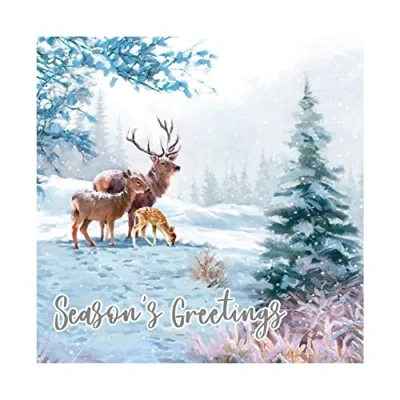Image of Eurowrap Pack of 12 Assorted Christmas Cards Xmas Traditional Snow Stag Scene, 2 Designs Merry and Wishes