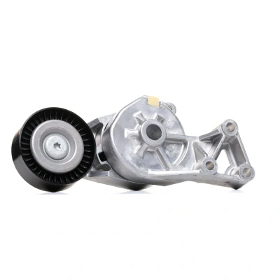 Image of 1122523, 1376631, YM216K254AA, YM216K254EA Tensioner Pulley SKF VKM 31019 VOLKSWAGEN: Golf 4, Transporter 5, SKODA: Octavia I Hatchback