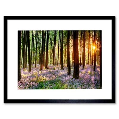 Image of Wee Blue Coo Bluebell Wood Sunrise Trees Photo Framed Wall Art Print