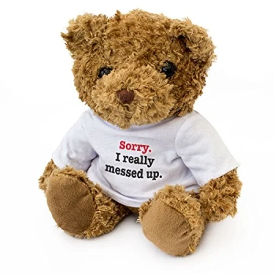 Image of NEW SORRY I REALLY MESSED UP Teddy Bear Cute Soft Cuddly Gift Present Apology