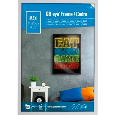 Image of GB eye Contemporary Wooden White Picture Frame Maxi 61 x 91.5cm