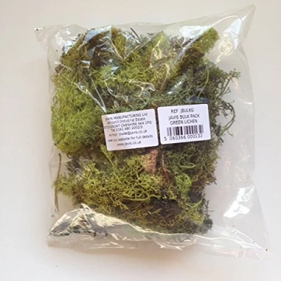 Image of Scenic Lichen, Bulk Pack , Green Model Railway / Wargaming, Javis