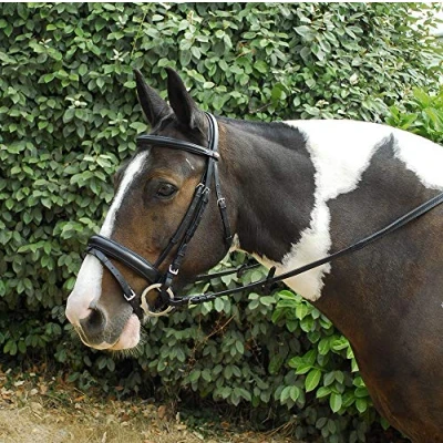 Image of Windsor Leather Comfort Horse Pony Snaffle Bridle, Flash Noseband Pony, Black