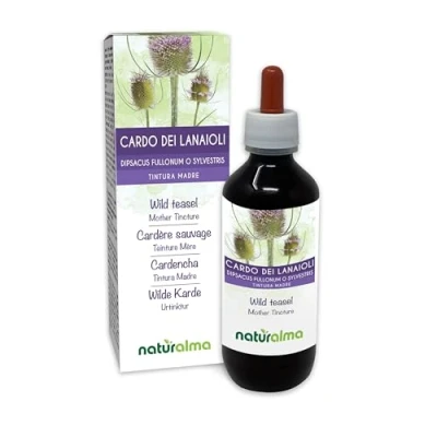 Image of Wild Teasel or Fuller&#039;s (Dipsacus fullonum D. sylvestris) Roots Alcohol Free Mother Tincture Naturalma Liquid Extract Drops 200 ml Food Supplement Vegan