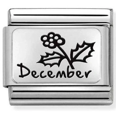 Image of Nomination December Birth Flower Charm