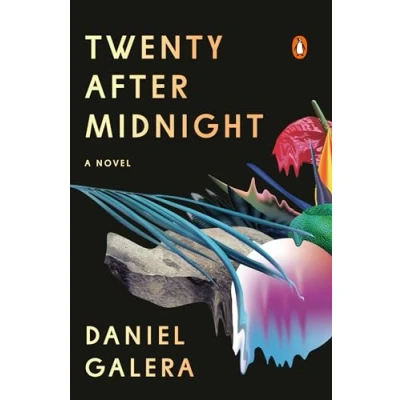Image of Twenty After Midnight: A Novel