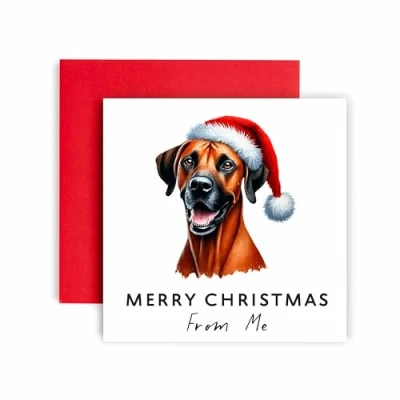 Image of Huxters Christmas Card from the Dog Rhodesian Ridgeback Merry to Mum and Dad Friends Family First (Rhodesian Ridgeback)
