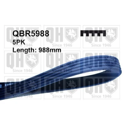 Image of 195511E11, 60513449, 60812430, 71719007 V ribbed belt QUINTON HAZELL QBR5988 988mm 5 AUDI: A6 C7 Saloon, Avant, A8 D4, VAUXHALL: Astra Mk3 CC