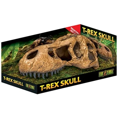 Image of Exo Terra T Rex Skull,Brown