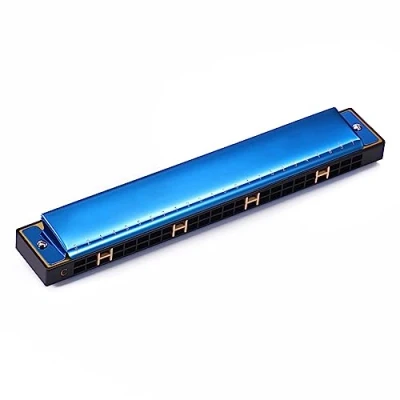 Image of 24 Hole Tremolo Competition Mouth Organ With Hard For Case Key Of C Beginners And Adults