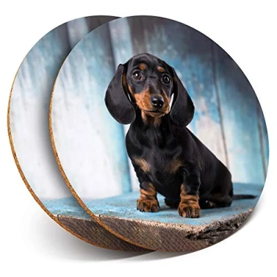 Image of 2 x Round Coasters Sausage Dog Dachshund Puppy Cork Backed Home Kitchen Accessory Tea Coffee Mug Mat #16342