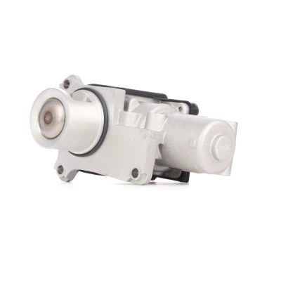 Image of 03G131502, 03G131502B EGR Valve PIERBURG 7.00907.03.0 Electric Control with seal VOLKSWAGEN: Caddy 3, Golf 5, Passat B6 Saloon