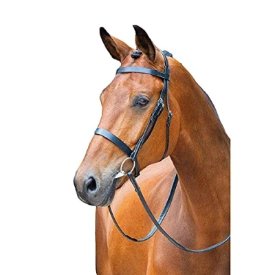 Image of Shires Salisbury Berrington Snaffle Bridle (Small Pony, Black)