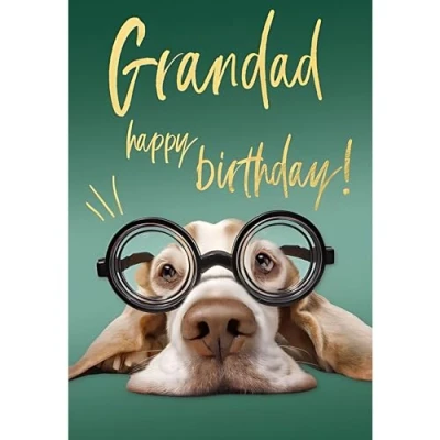 Image of Grandad Birthday Card Funny/Humorous Dog Design Wearing Glasses Special Finishes Made in the UK Eco Friendly