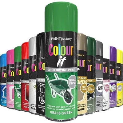Image of AlezyB 1 x Grass Green All Purpose Aerosol Spray Paint 250ml. Excellent Coverage, Quick &amp; Fast Drying for interior exterior Multipurpose Metal Plastic Wood Glass.