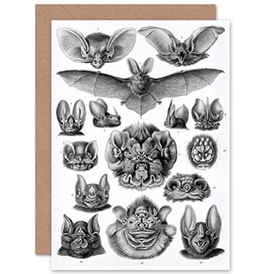Image of Wee Blue Coo Personalised Ernst Haeckel 1904 Bat Study Scientific Illustration Greeting Card Arty Art All Occasion Birthday