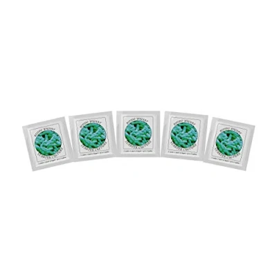 Image of Yogurt Starter Cultures Freeze Dried Culture Sachets for Bifido (Pack of 5 sachets)…